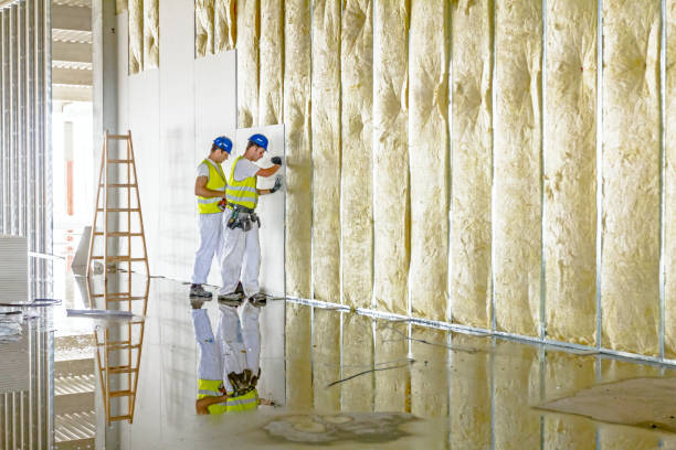 Best Specialized Insulation Services in Unt Vernon, MO